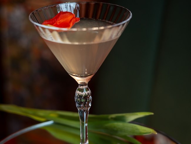 Tulip Bloom Cocktail